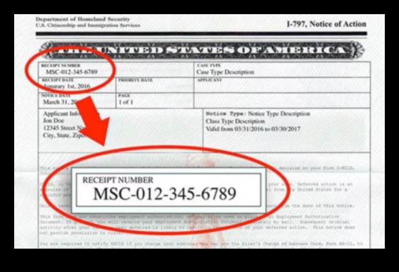 How to Check Your Immigration Status 1 How to Check Your Immigration Status 1