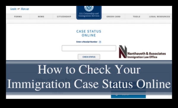 how to check immigration status