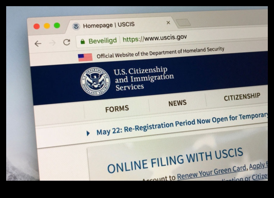 how to check immigration status