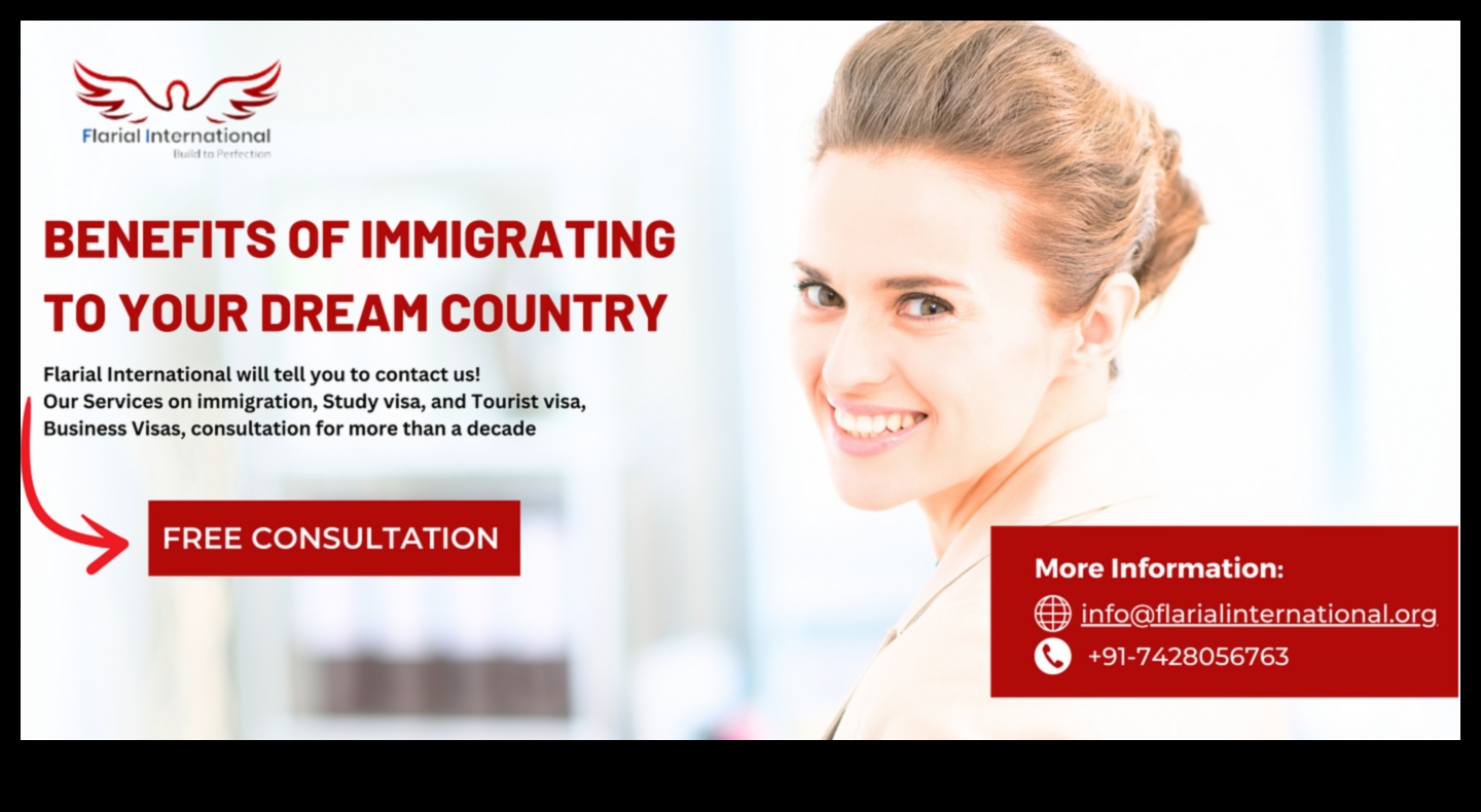 what do immigration lawyers do