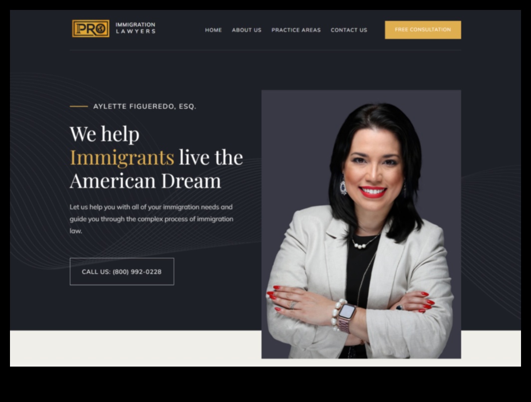 what do immigration lawyers do