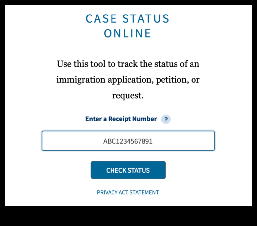 how to check my immigration status