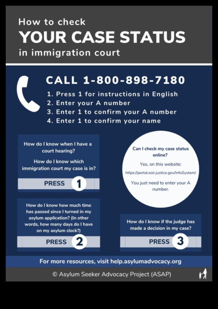 how to check my immigration status