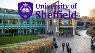 Sheffield International Postgraduate Merit Scholarships