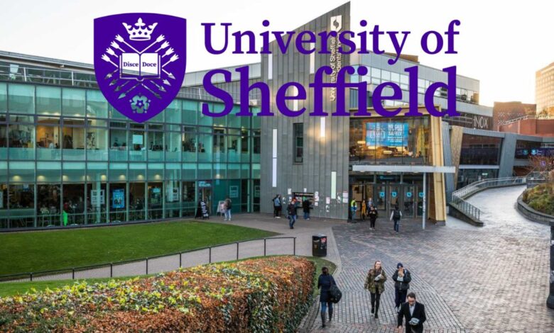 Sheffield International Postgraduate Merit Scholarships