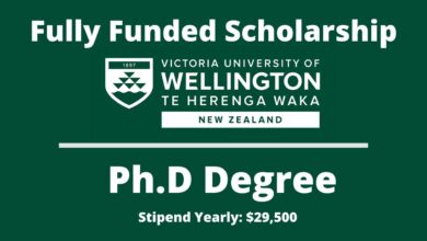 Wellington University International Student Scholarship | Application Process